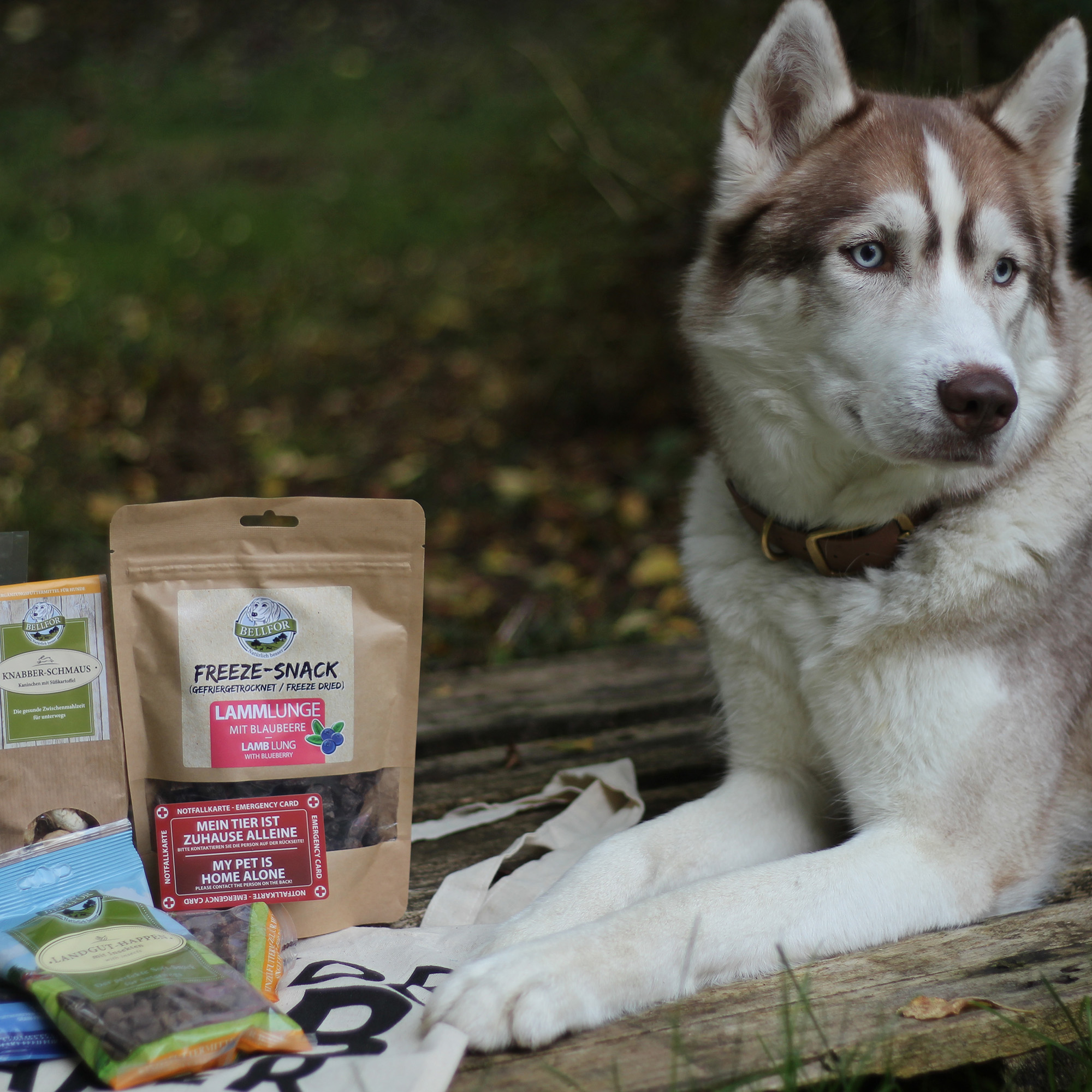 Bellfor dog treats for quality-conscious dog owners